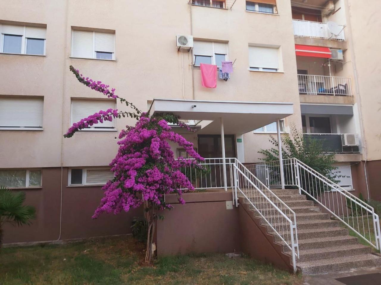 Ferienwohnung Popovic Pula Exterior foto